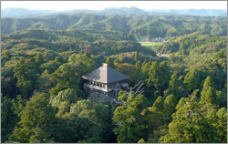 �Ⓦ�R�R�ω���ꏄ��E�Ⓦ�R�R�ω���ꏄ��o�X�c�A�[�\��